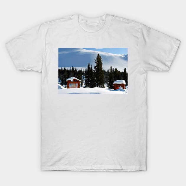 Canadian Rocky Mountains Icefields Parkway Canada T-Shirt by AndyEvansPhotos